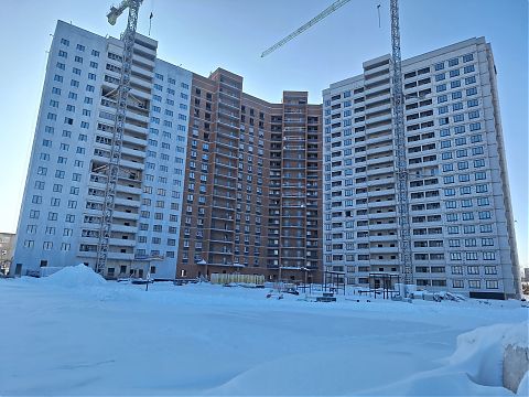 Январь 2026 - изображение 1110