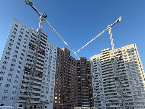 Январь 2026 - изображение 1114