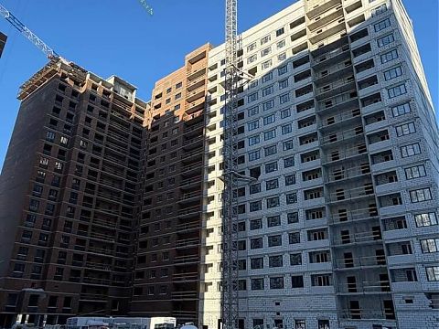 Февраль 2026 - изображение 1127