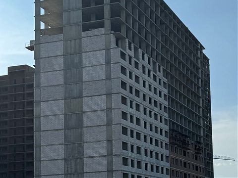 Июль 2025 - изображение 971
