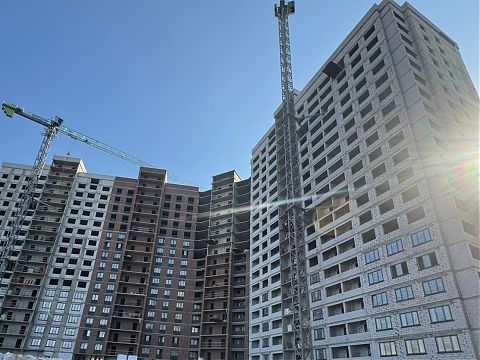 Июль 2025 - изображение 972