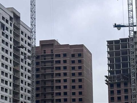 Ноябрь 2025 - изображение 1081