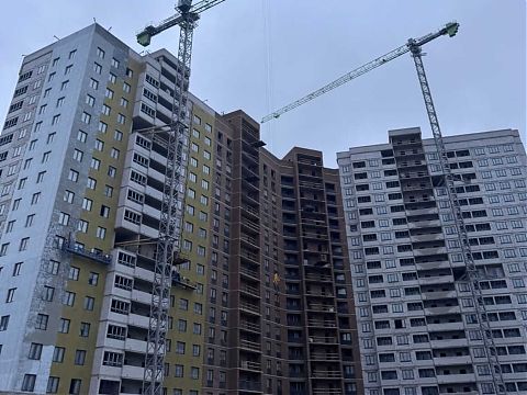 Ноябрь 2025 - изображение 1082