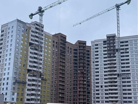 Ноябрь 2025 - изображение 1084